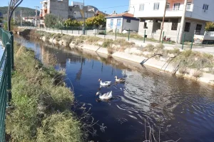 Göksu Nehri’nde Su Renk Değişimi İncelemesi