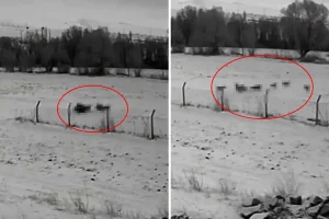 Görüntü Türkiye’den: Gündüz vakti baskın yaptılar, vatandaşlar korku içinde