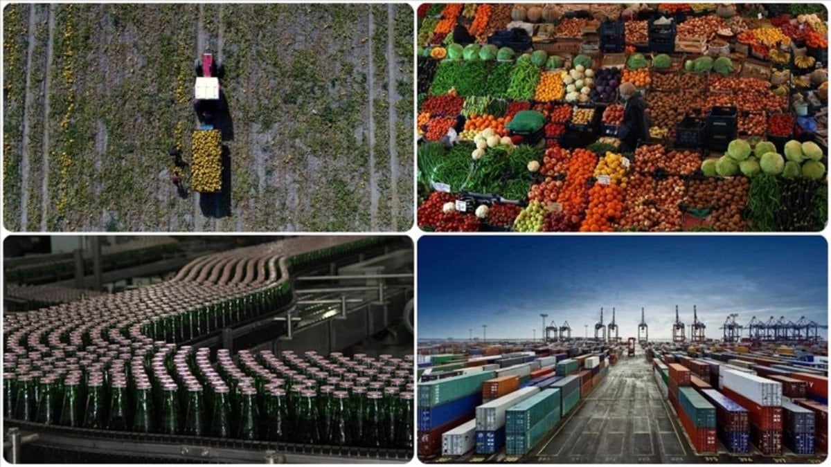 Gümrüklerde yeni düzenleme: Tarım ürünleri ithalatı