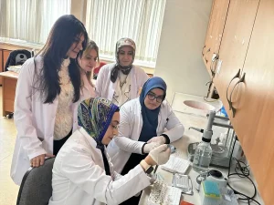 Günlük 30 Gram Lif, Bağırsak Sağlığına İyi Geliyor