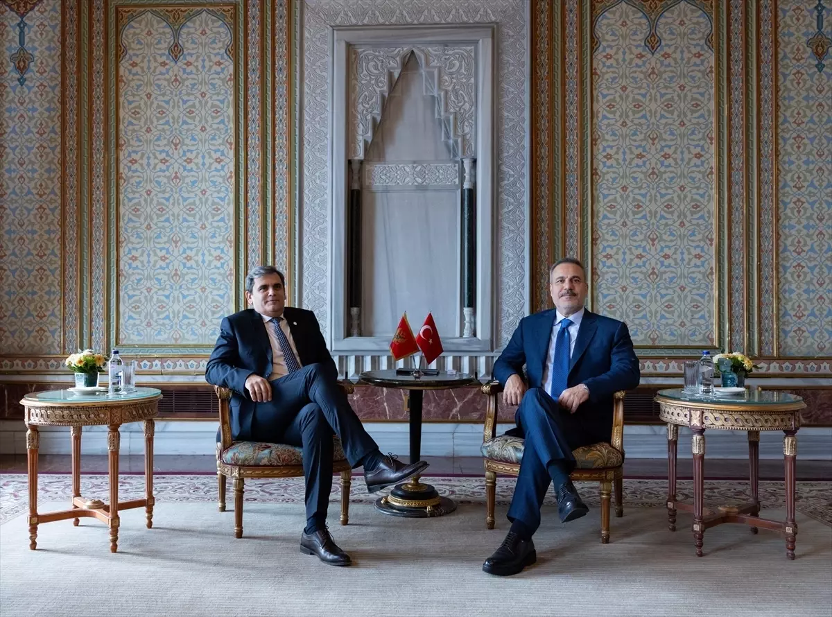 Hakan Fidan ve Ervin İbrahimovic İstanbul’da Buluştu