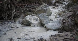 Halkı döve döve yapıldı şimdi zehir saçıyor