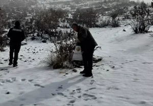 Hasankeyf’te Yaban Hayvanları İçin Yem Bırakıldı