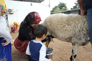 Hatay’da Çocuklara Doğa Eğitimi