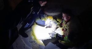 Hatay’da rögarda sıkışan yavru köpeğin imdadına itfaiye yetişti