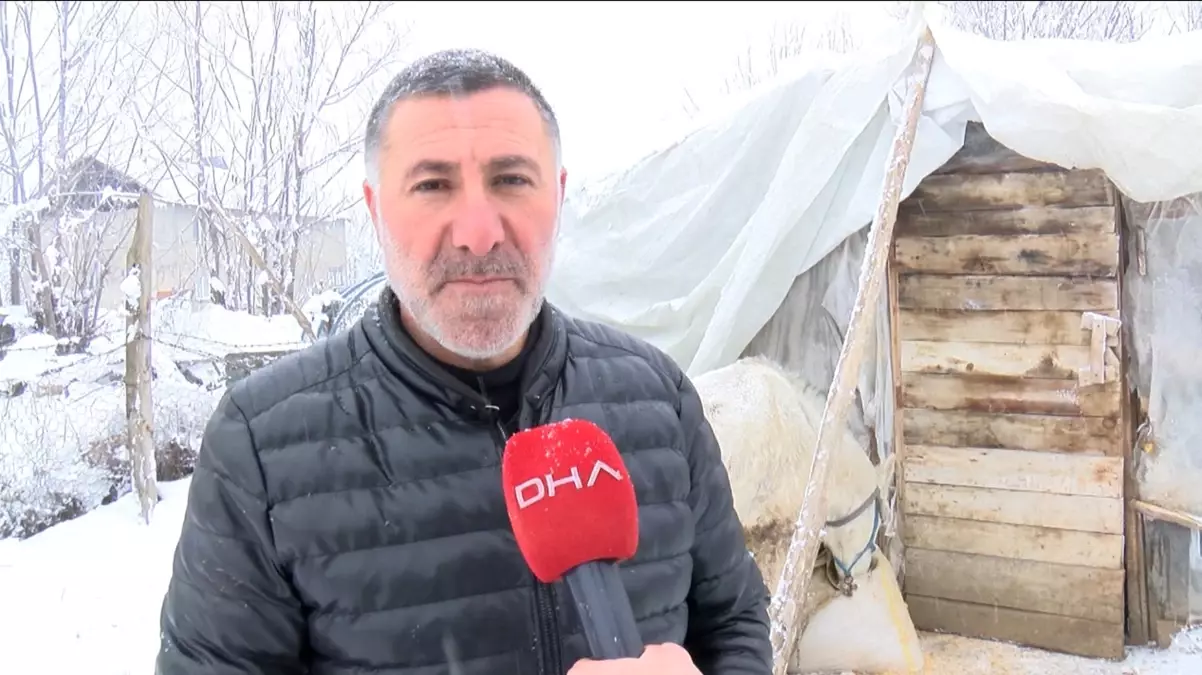 Hayvanlara Şefkat Eli: Önder Elaraslan