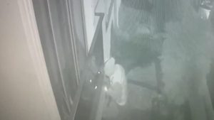 İstanbul’da eve girip anahtarı çaldı: Otomobile benzin alırken yakalandı