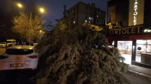 İstanbul’da Fırtına Can ve Mal Kaybı Oluşturmadı