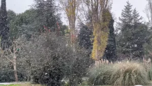 İstanbul’da Kar Yağışı Başladı