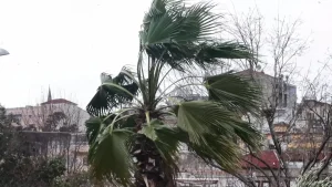 İstanbul’da Lodos Uyarısı: Seferler İptal