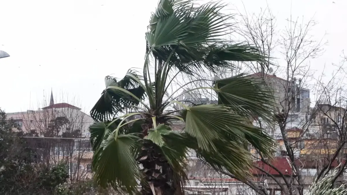 İstanbul’da Lodos Uyarısı: Seferler İptal