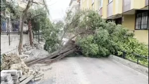 İstanbul’da Şiddetli Rüzgar Hasara Yol Açtı