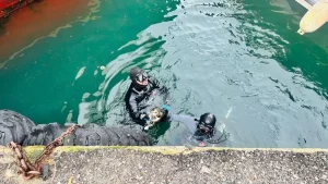 İzmir’de Su Altında Mahsur Kedi Kurtarıldı