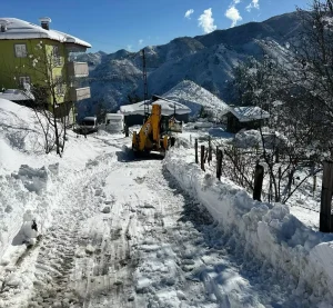 Jandarma’dan Sahipsiz Hayvanlara Mama Desteği