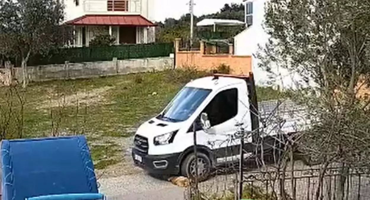 Kamyonet, köpek Meks’in üzerinden geçti