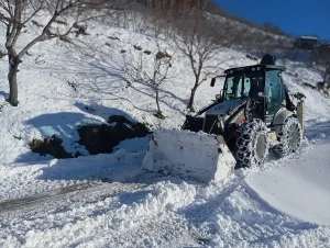 Kar, 4 İl’de 357 Yolu Kapadı
