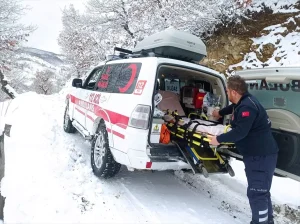 Kar Engeli Aşıldı, 90 Yaşındaki Kadın Kurtarıldı