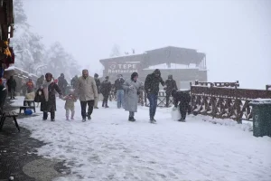 Kar nedeniyle 233 köy yolu kapandı