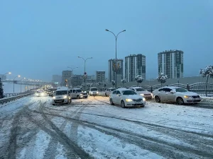 Kar Yağışı Şanlıurfa ve Malatya’da Hayatı Olumsuz Etkiledi