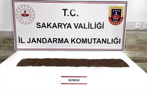 Karasu’da Uyuşturucu Operasyonu: 1 Tutuklama