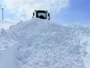 Karla Mücadele ile Hastaya Ulaşım