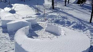 Karla Türk Bayrağına Destek