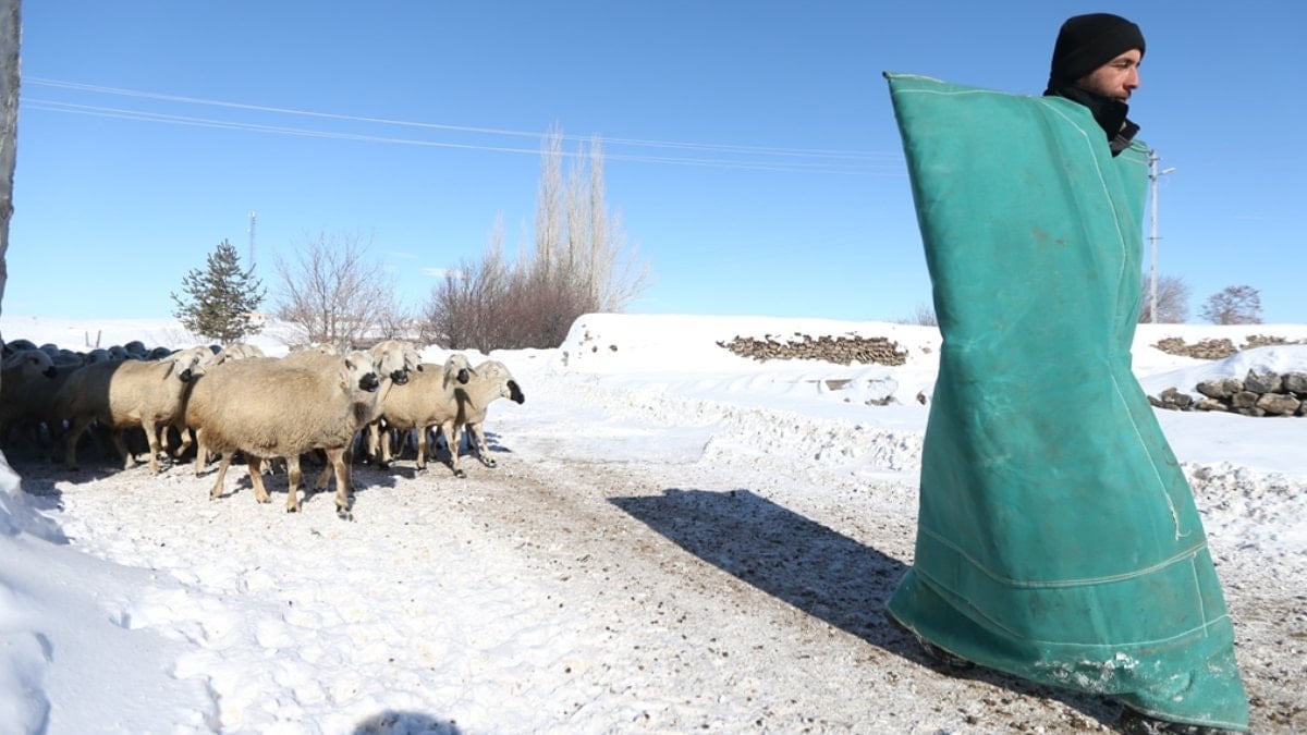 Karslı besici, devlet destekli proje ile koyun sürüsünü 6 kat büyüttü