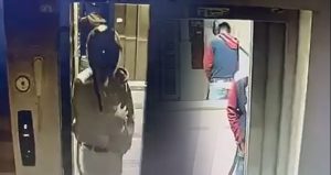 Kaskla girdiği asansöre tuvaletini yaptı, çatıya çıkıp güvercin çaldı