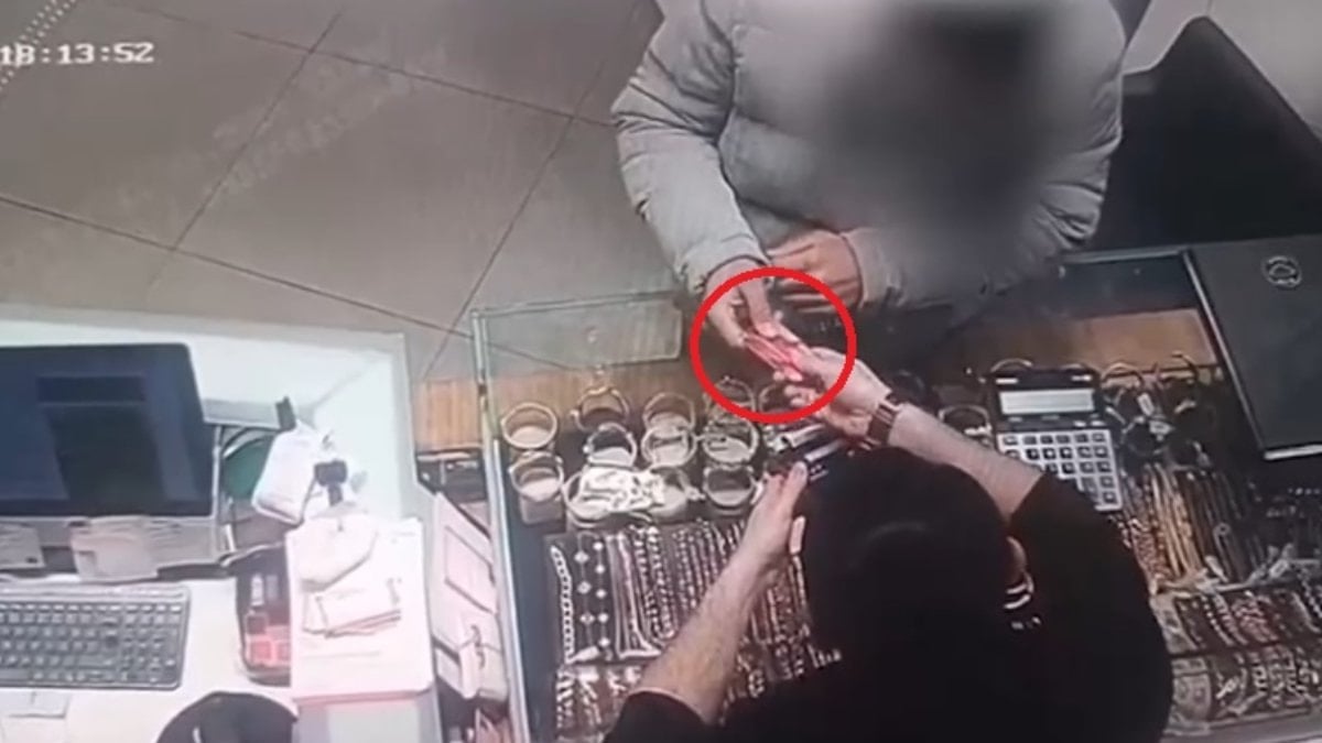 Kayseri’de kedilere mama siparişi vermek için yardım istedi: 182 bin TL dolandırıldı