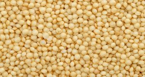 Kinoa, yulaf veya kahverengi pirinç değil: Meğer en sağlıklısı buymuş