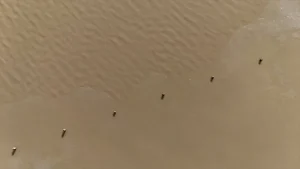 Kırklareli’nde Buzlanma Etkili