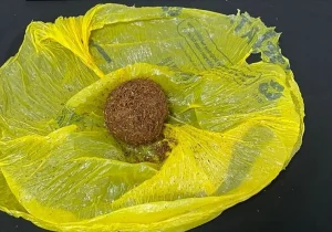 Kırşehir’de Uyuşturucu Operasyonu: 4 Gözaltı