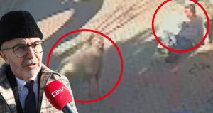 Koç saldırısını Profesör yorumladı: 3 nedeni var