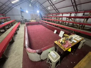 Kocaali’de Horoz Dövüştürme Cezaları