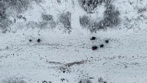 Kocaeli’de Kar Yağışı Umuttepe’yi Beyaza Bürüdü