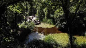 Kocaeli’deki Parklar 4.7 Milyon Ziyaretçi Ağırladı