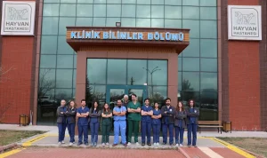 Köpek Saldırısına Uğrayan Vaşak Tedavi Edildi