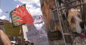 Köpeklere cinsel saldırıda bulunup öldüren doktorun davası yeniden görülecek