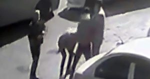 “Küfretmeyin” dedi, dünyası karardı