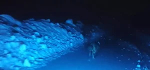 Kurdun Saldırısına Uğrayan Arkadaş Grubu Panic Yaşadı