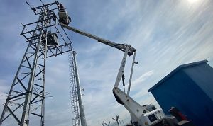 Kuşların Göç Yolculuğunda “Elektrik Çarpması Tehdidinin Önlenmesi” için Uluslararası Çalışma Başlatıldı.