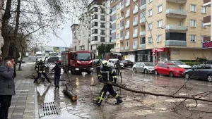 Kuvvetli Rüzgar, Araçlara Zarar Verdi