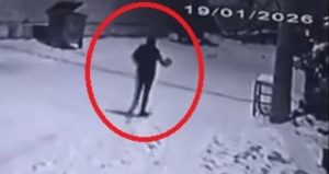 Mahalleye inen kurtları, çaydanlıkla kovaladı: Türkiye’de bu da oldu!