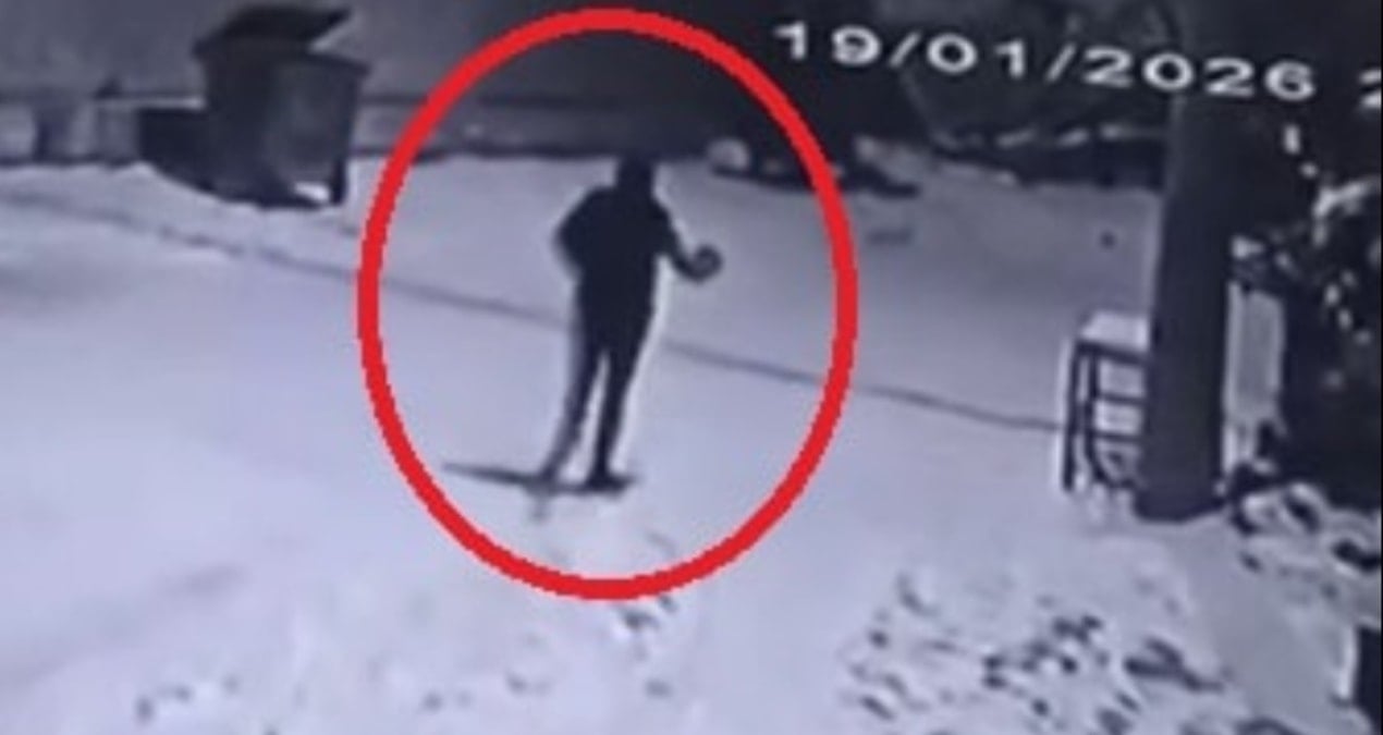 Mahalleye inen kurtları, çaydanlıkla kovaladı: Türkiye’de bu da oldu!