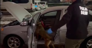 Malatya’da “Torbacı” operasyonunda 13 zehir taciri tutuklandı