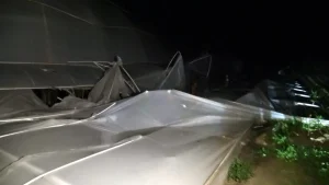 Manavgat’ta Hortum Zarar Verdi