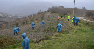 Manisa’da kayıp kadını arama çalışmaları sürüyor