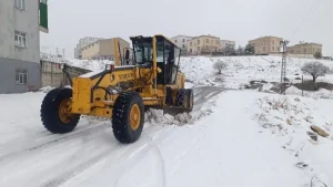 Mardin’de Kar Yağışı ve Sis Kazalara Neden Oldu