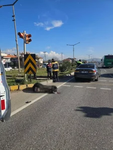 Menteşe’de Trafik Kazası: Motosiklet Sürücüsü Hayatını Kaybetti
