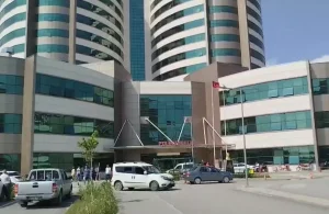 Mersin’de Köpek Saldırısı: 2 Yaşındaki Hasan Ağır Yaralı